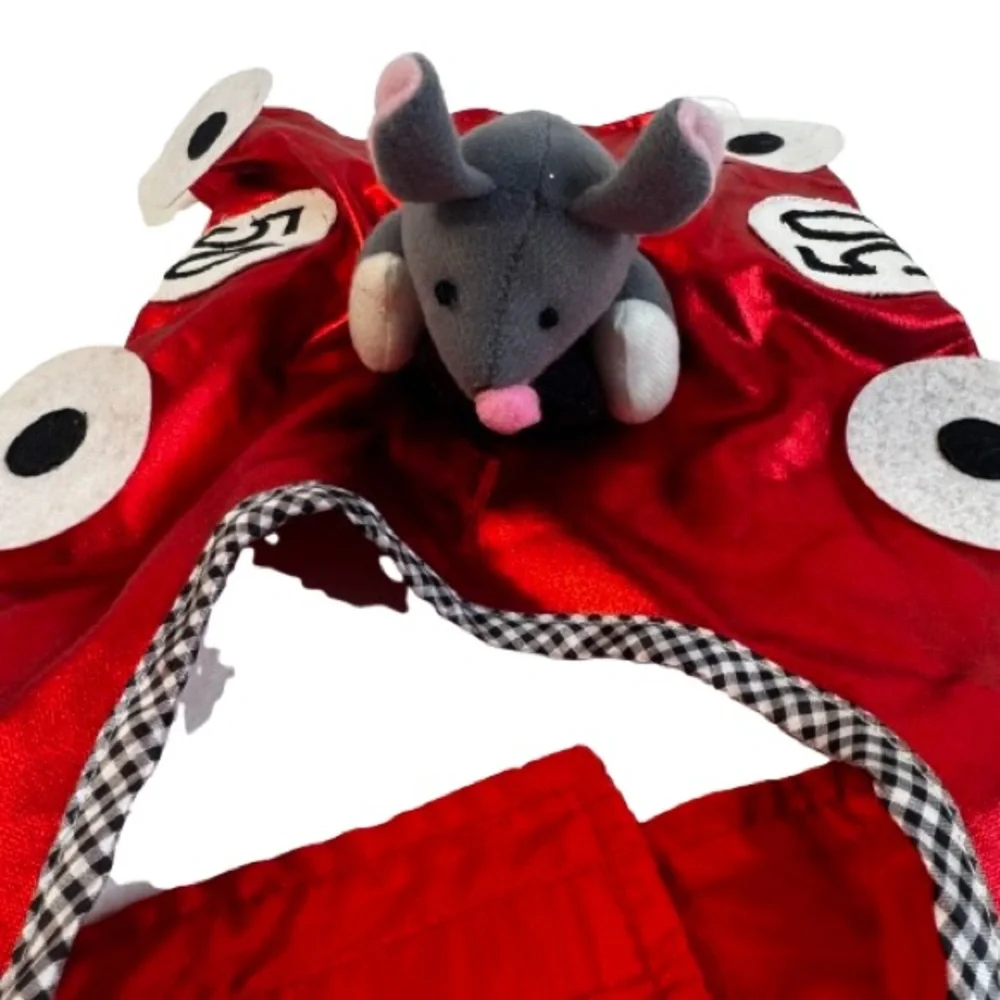 Fast & Curuius Red Racing Car Dog Costume